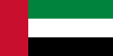 Detected country flag